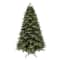 9ft. Pre-Lit Blue Mountain Spruce Realistic Artificial Christmas Tree, Colour Changing Micro LED Lights by Ashland®